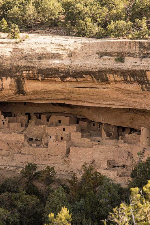 Cliff Palace, Mesa Verde’s largest cliff dwelling | NPS Photo by Sandy Groves