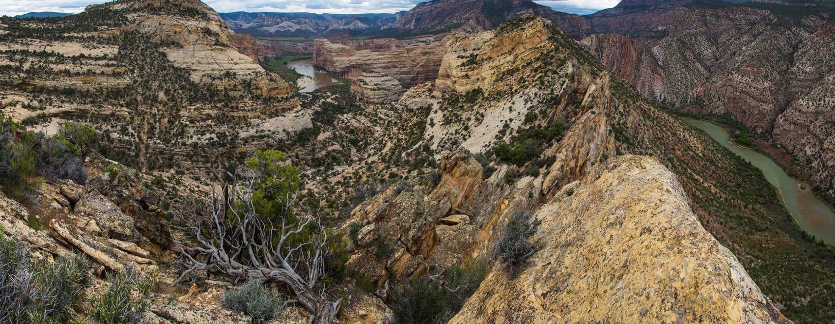 Above the confluence of the Green and Yampa Rivers | Photo by Jacob W. Frank