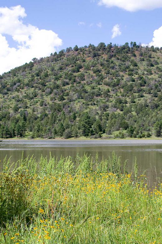 Kaibab Lake Campground in the Kaibab National Forest | Photo Credit: USFS Kaibab Forest