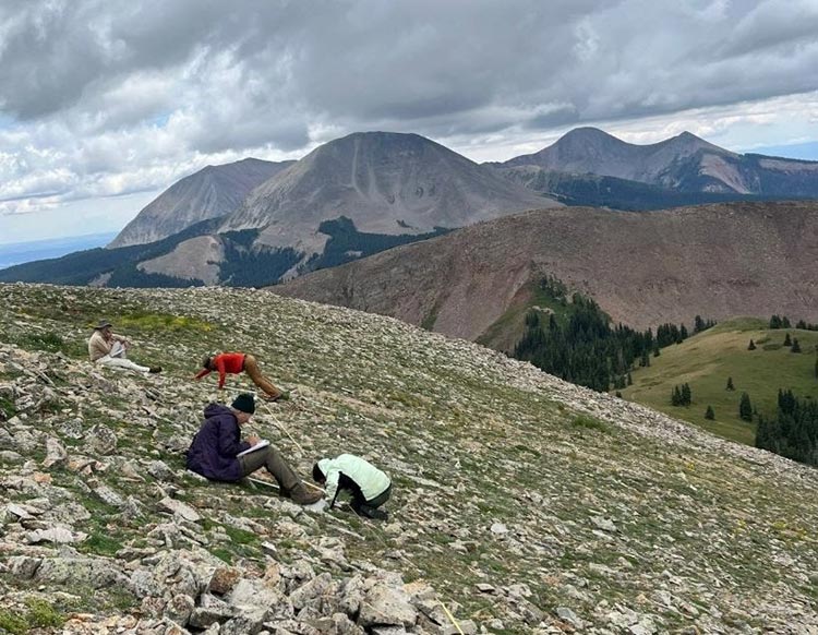 Alpine monitoring