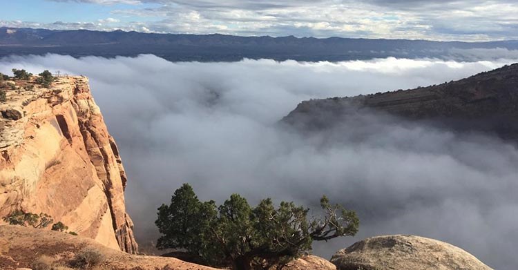 Colorado National Monument shrouded in low clouds