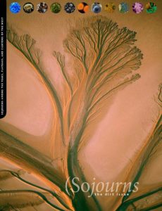 The Dirt Issue