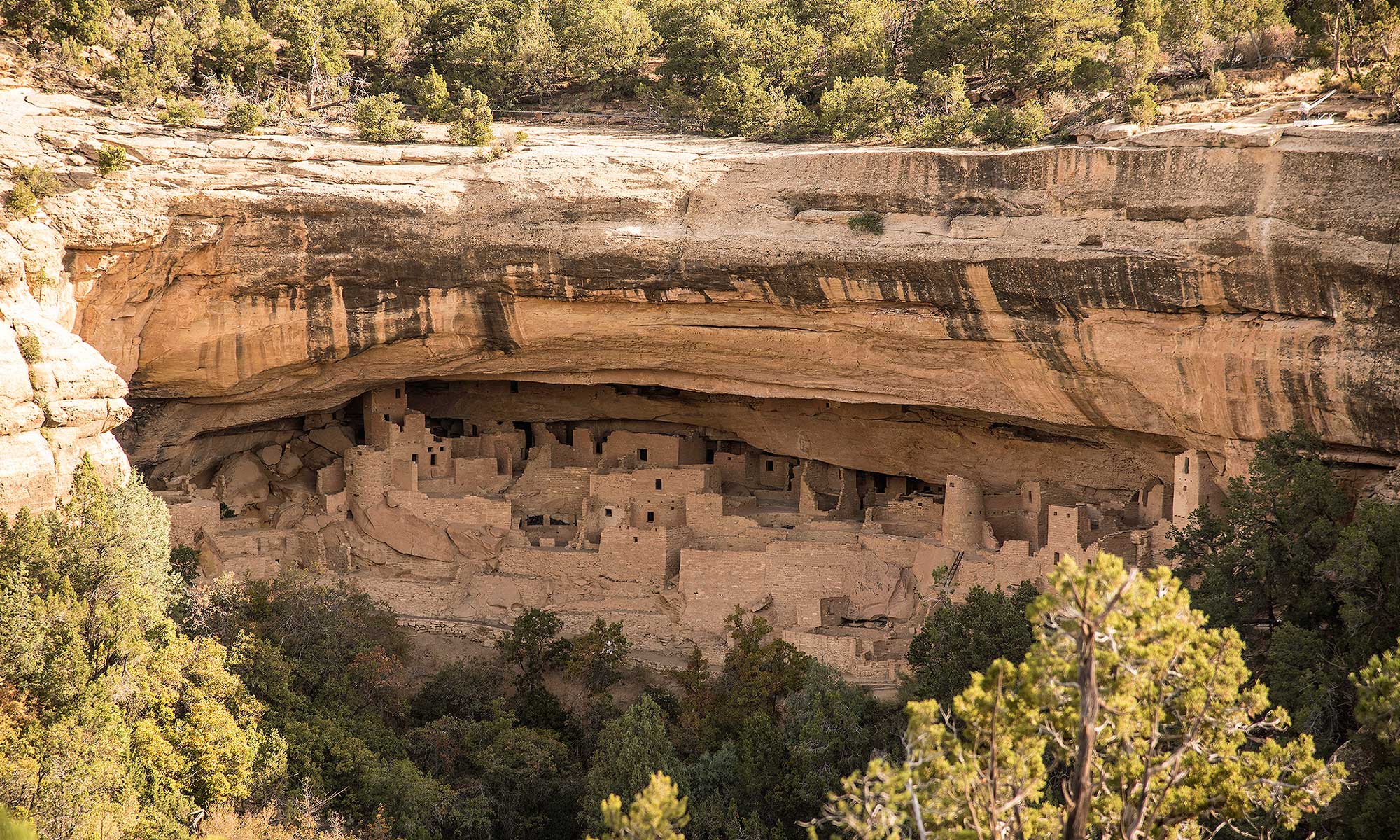 Cliff Palace, Mesa Verde’s largest cliff dwelling | NPS Photo by Sandy Groves