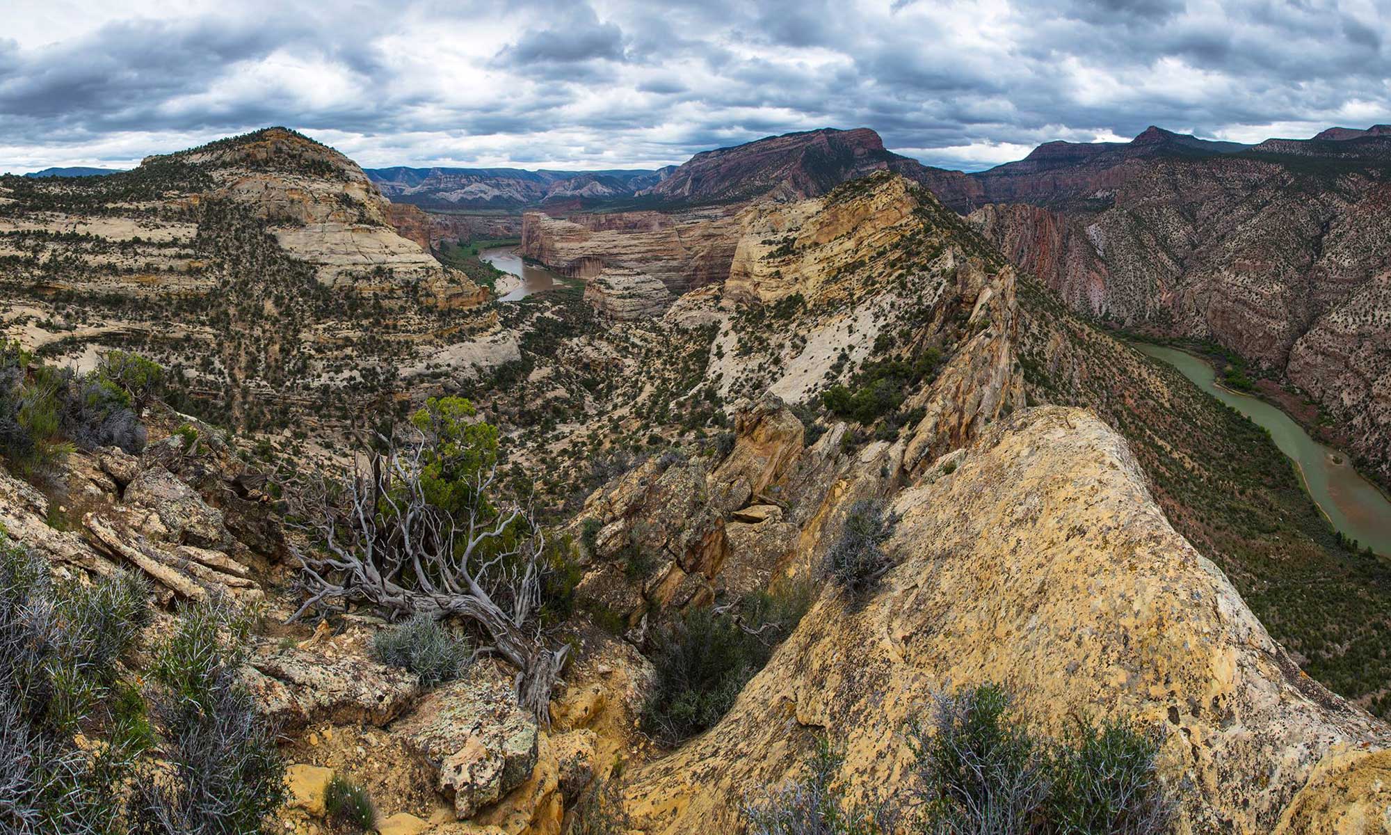 Above the confluence of the Green and Yampa Rivers | Photo by Jacob W. Frank