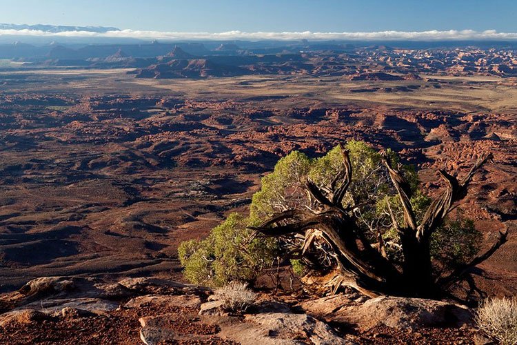 Canyon Country view from Rim