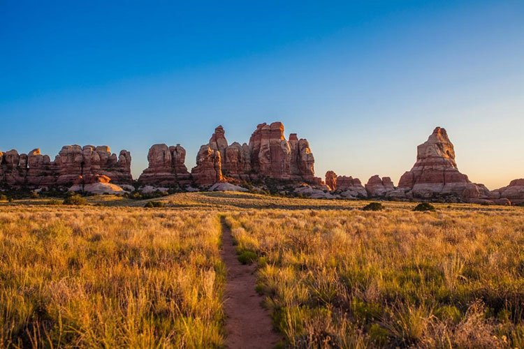 Manti-La Sal National Forest is issuing permits for fuelwood