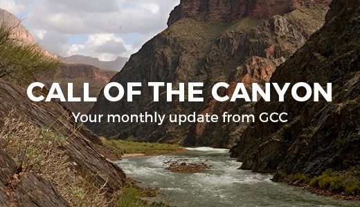 Call of the Canyon Monthly Update