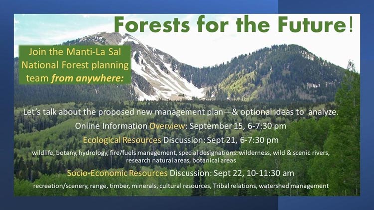 Forests for the Future!