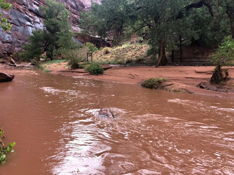 Hunter Campground temporarily closed